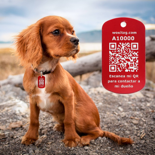 Placa de identificación con código QR para mascotas extraviadas