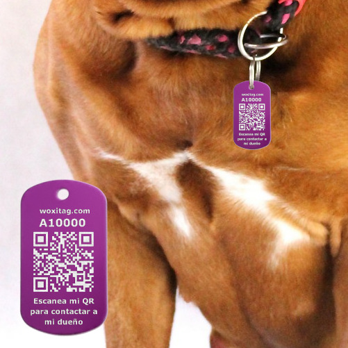 Placa de identificación con código QR para mascotas extraviadas - Imagen 6